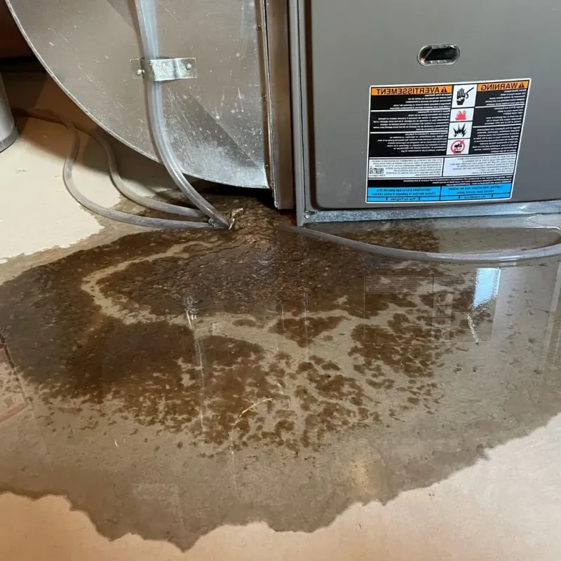 Pipe Burst and Leak Restoration in Ivins, UT